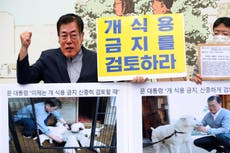 Grupos celebran plan de Seúl sobre consumo de carne de perro