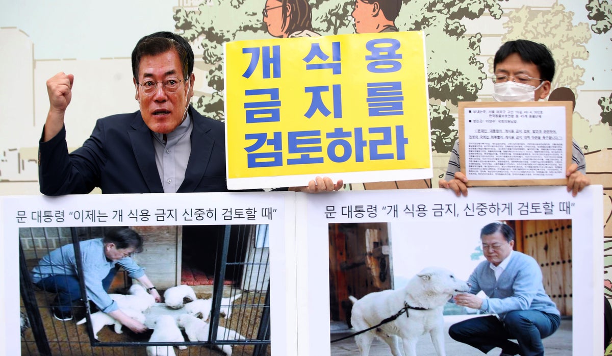 los perros de carne son legales en corea del sur