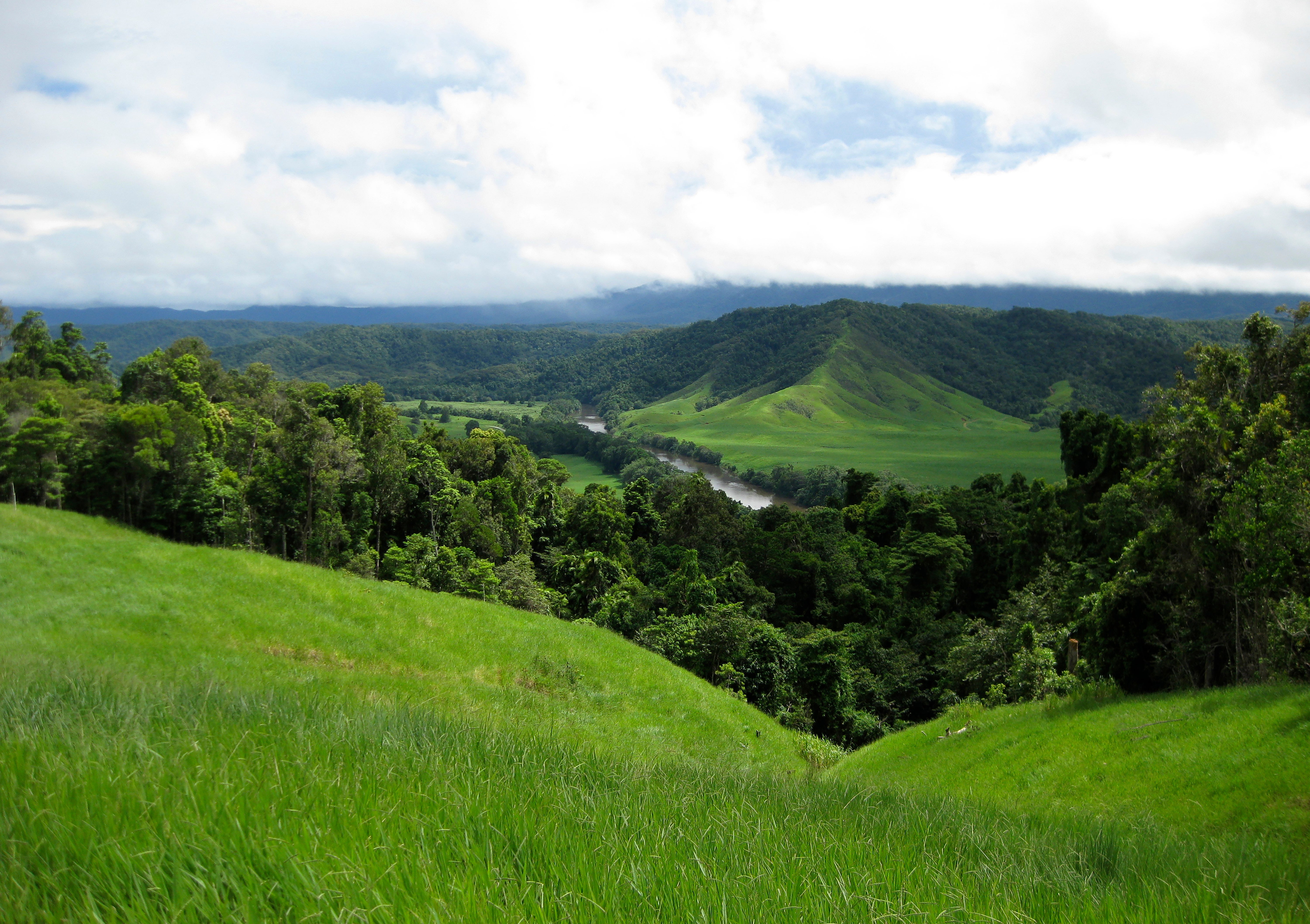 Australia devuelve el bosque de Daintree a pueblo indígena