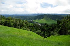 Australia devuelve el bosque de Daintree a pueblo indígena