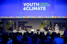 El papa Francisco elogia a jóvenes por defender al planeta