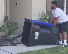 Hombre de Florida se gana a la gente en internet después de atrapar un cocodrilo en un bote de basura
