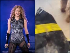 Shakira dice que unos jabalíes la atacaron e intentaron robarle el bolso y el teléfono en Barcelona