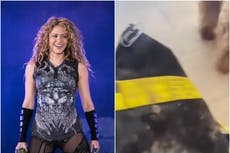 Shakira dice que unos jabalíes la atacaron e intentaron robarle el bolso y el teléfono en Barcelona