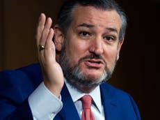 Contradicen a Ted Cruz en vivo por falsas acusaciones de fraude electoral