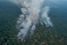 Brasil: Bajan los incendios en la Amazonia durante septiembre