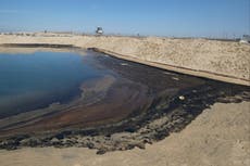 Pájaros y peces muertos en una playa de California tras un vertido masivo de petróleo