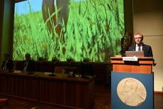 Científicos ganan Premio Nobel de medicina por revelar cómo los humanos sienten el calor y el tacto