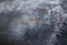 Derrame de petróleo en California: ¿Qué causó la “catástrofe ambiental”?