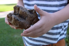 Niño de seis años encuentra fósil de un antepasado de elefante prehistórico en Michigan Creek