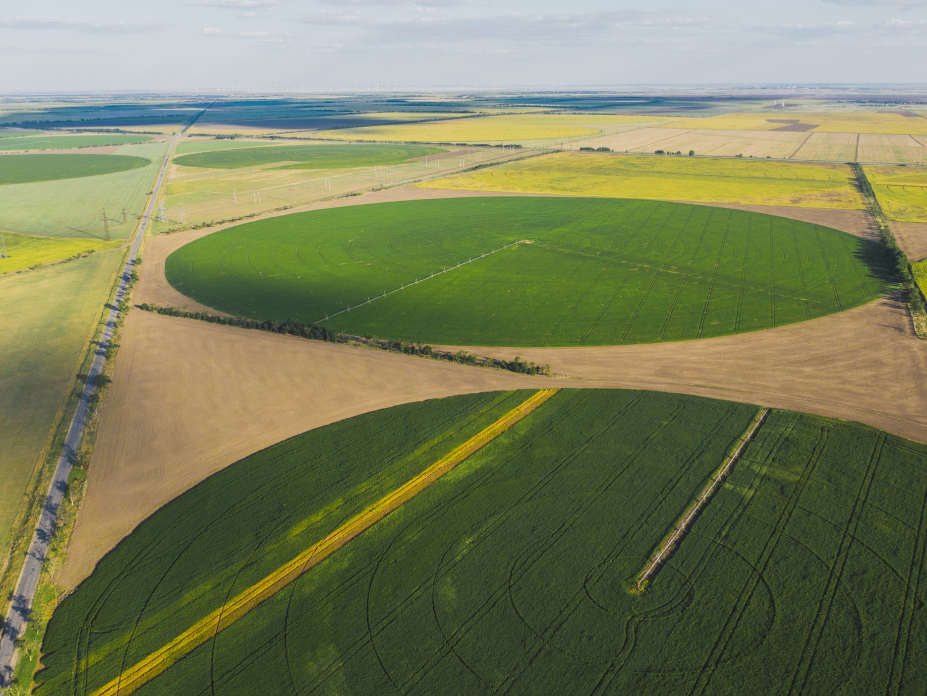 Campos circulares en granjas en Ucrania. Los 'retazos de la naturaleza' junto con las áreas agrícolas de alto rendimiento ayudarán a florecer la biodiversidad, dicen los autores