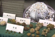 Hong Kong incauta 26,9 millones en bienes de contrabando