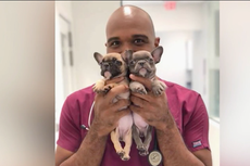 Veterinario encarcelado durante 22 años, por abuso sexual contra perros y pornografía infantil