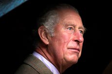 El príncipe Carlos asegura que ‘entiende totalmente’ la desesperación de los manifestantes climáticos