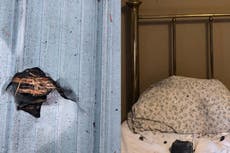 Canadá: mujer afirma que roca que cayó en su cama podría haber sido un meteorito