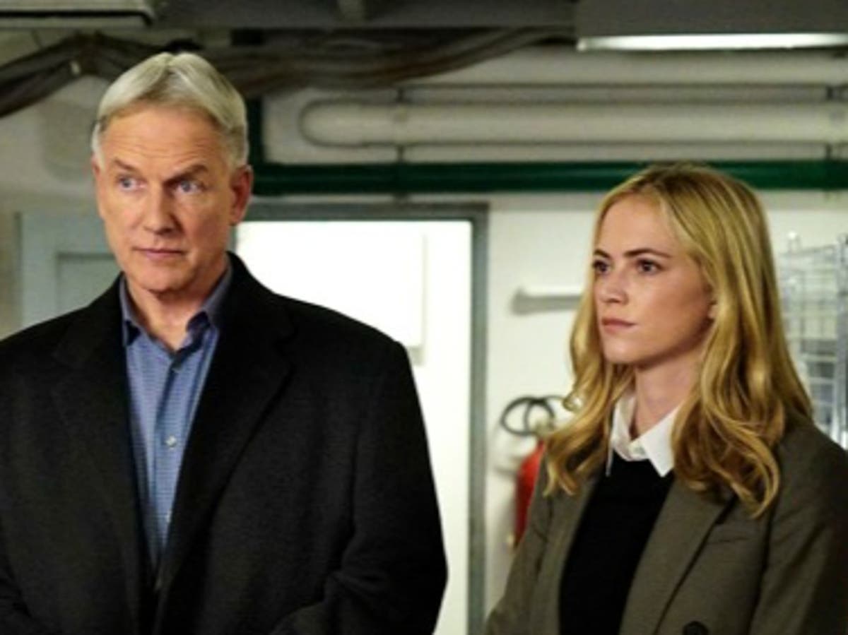 Fanáticos de NCIS lloran la partida de Mark Harmon tras 18 años en el  programa | Independent Español