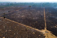 Brasil da por concluido despliegue militar en Amazonia