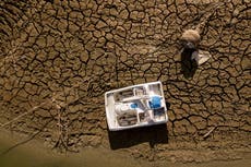 California registra el año más seco desde 1924, en medio de una sequía extrema e incendios forestales