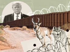 El destructivo legado del muro fronterizo de Trump
