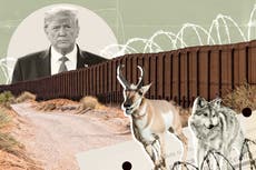 El destructivo legado del muro fronterizo de Trump