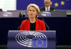 UE pide acelerar transición ecológica ante crisis energética