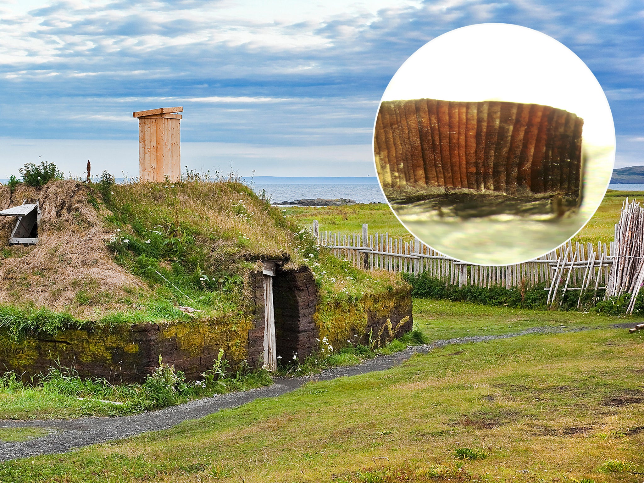 Vikingos llegaron a América 500 años antes que Cristóbal Colón, afirma estudio