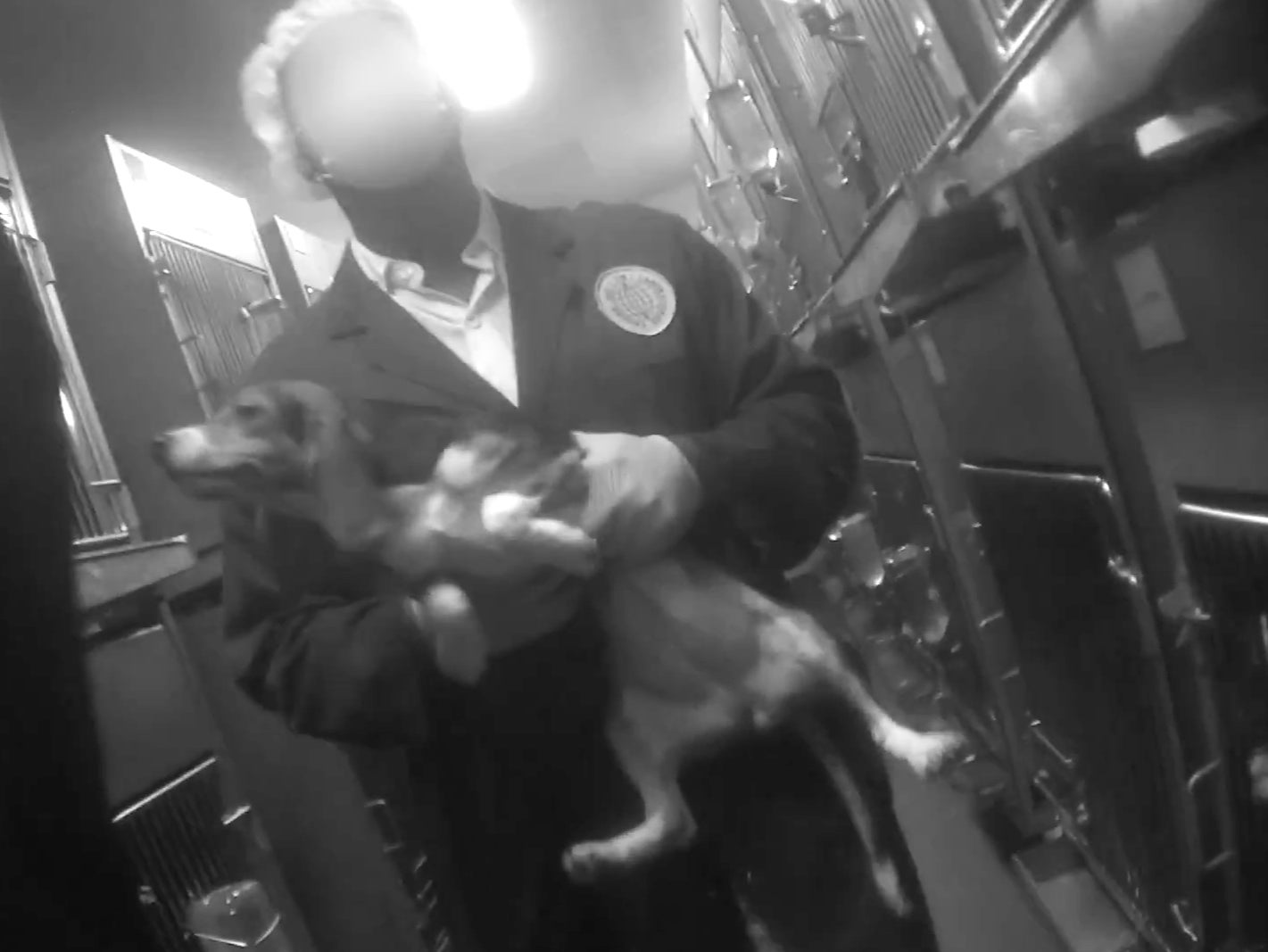 Reino Unido: piden eliminar prohibición a las organizaciones que luchan contra la experimentación animal