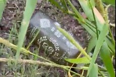 Turista halla botella de agua que coincide con la de Petito cerca de donde se encontró cuerpo de Laundrie