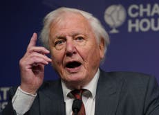 David Attenborough dice que Gran Bretaña tiene la “responsabilidad moral” de “actuar ahora” sobre el clima