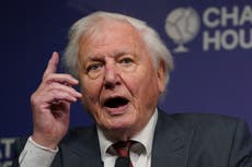 David Attenborough dice que Gran Bretaña tiene la “responsabilidad moral” de “actuar ahora” sobre el clima