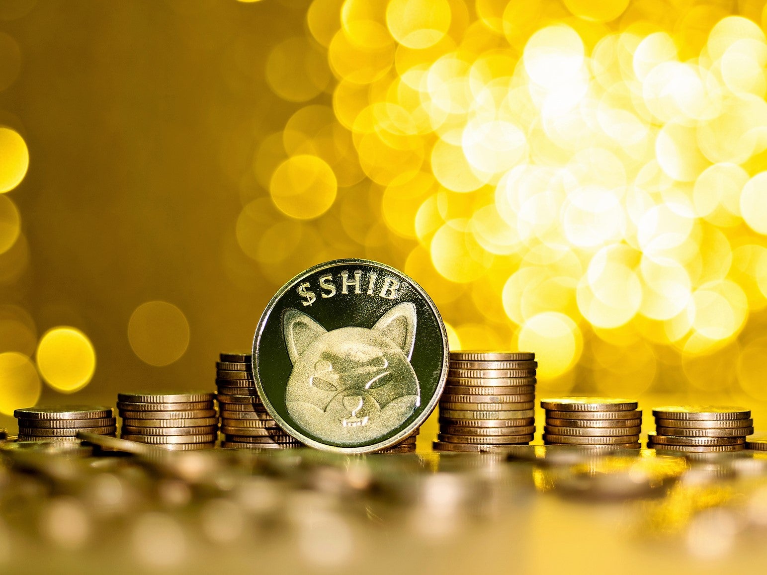 La moneda Shiba Inu y la moneda Floki Billionaire son una serie de spin-offs con temática dux que han experimentado incrementos de precios asombrosos en 2021