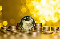 Precio de moneda Shiba Inu se dispara a un máximo histórico a pesar del colapso de las criptomonedas