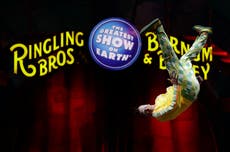 Circo Ringling Bros. regresaría sin animales