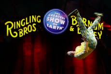 Circo Ringling Bros. regresaría sin animales