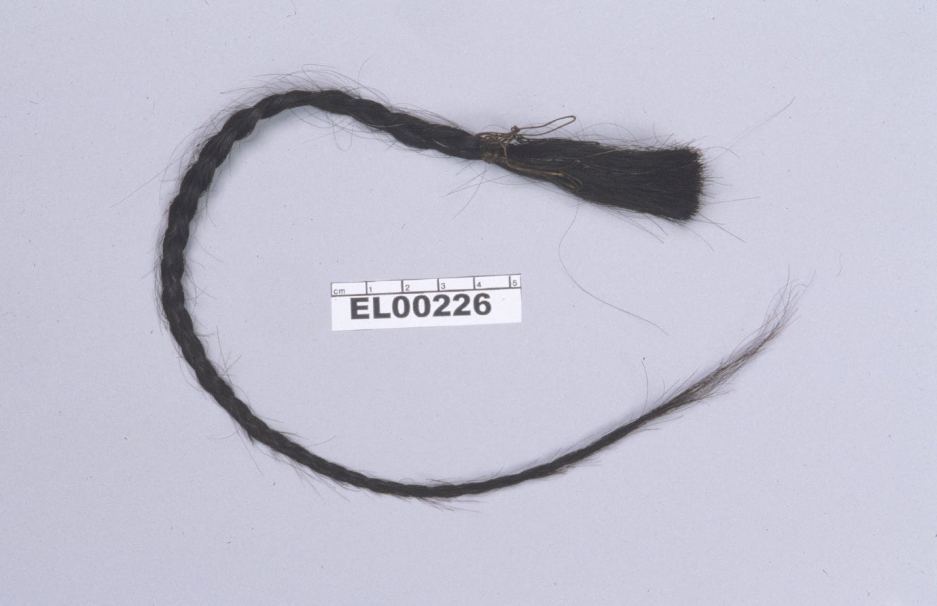 Un mechón del cabello de Toro Sentado estudiado por la Universidad de Cambridge