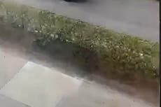 Conductor de Amazon despedido tras TikTok viral: solo estaba “repartiendo paquetes”