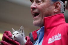 Candidato a alcalde de NY acude a votar acompañado por gato