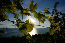 Italia-Croacia en pleito por denominación de origen Prosecco