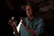 Científicos hallan fósil de niño homínido en Sudáfrica