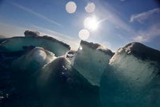 Hielo en peligro: el calentamiento global cambia el Ártico