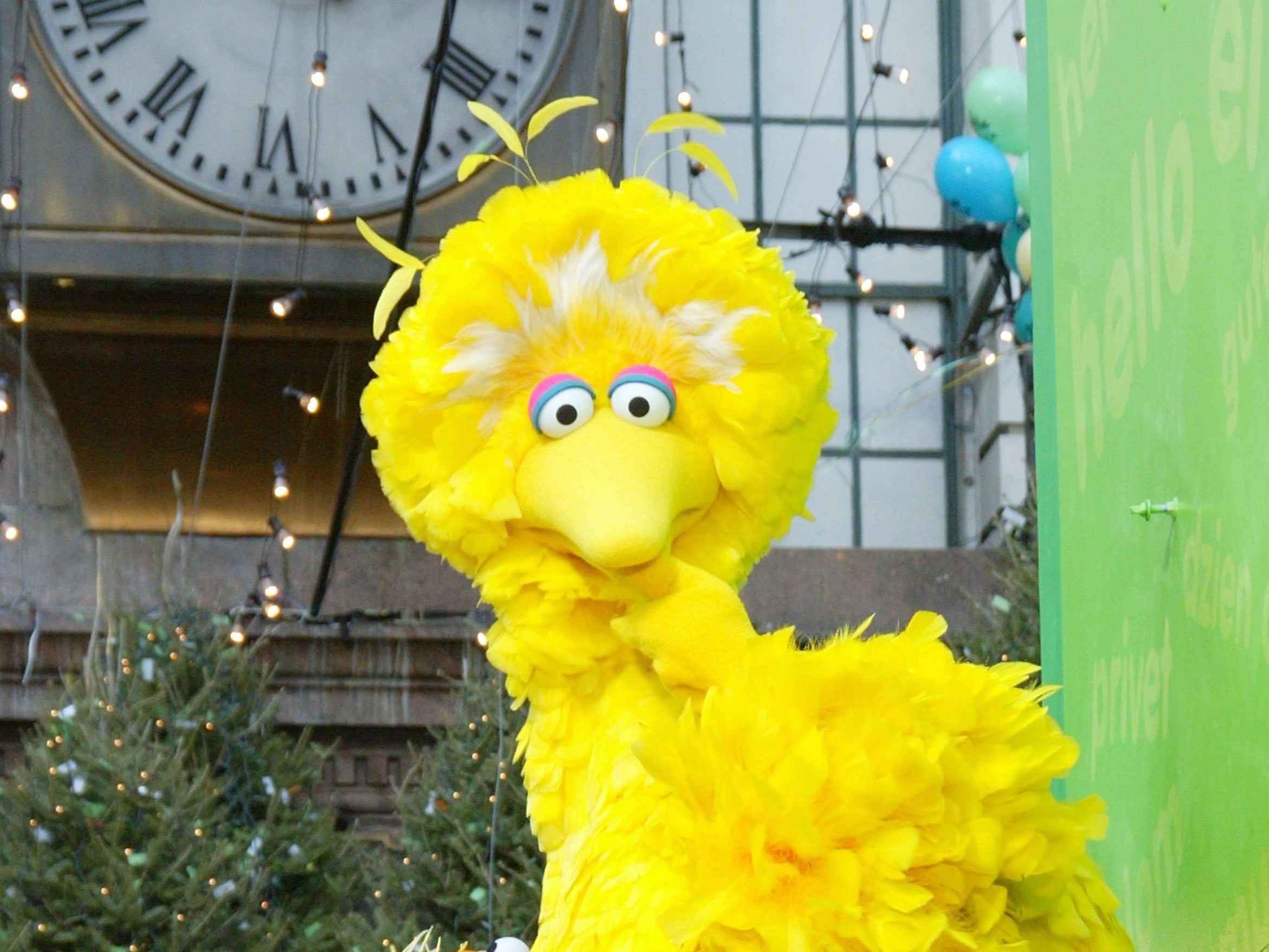 Los antivacunas fueron demasiado lejos al irse sobre Big Bird