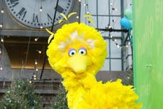 Los antivacunas fueron demasiado lejos al irse sobre Big Bird