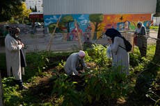 Huertos comunitarios cambian el paisaje urbano de Marsella