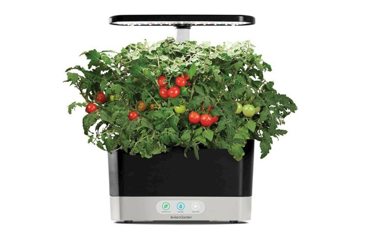 Product image for AeroGarden - Cosecha - Jardín para interiores - Fácil de instalar - Incluye vainas de 6 hierbas gourmet - Negro
