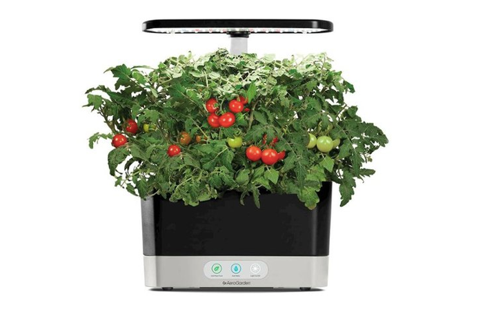 AeroGarden - Harvest - Indoor Garden - Easy Setup - 6 Gourmet Herb pods included - Black
