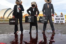 Cop26: ¿Qué sucede con los compromisos ante la calamidad?