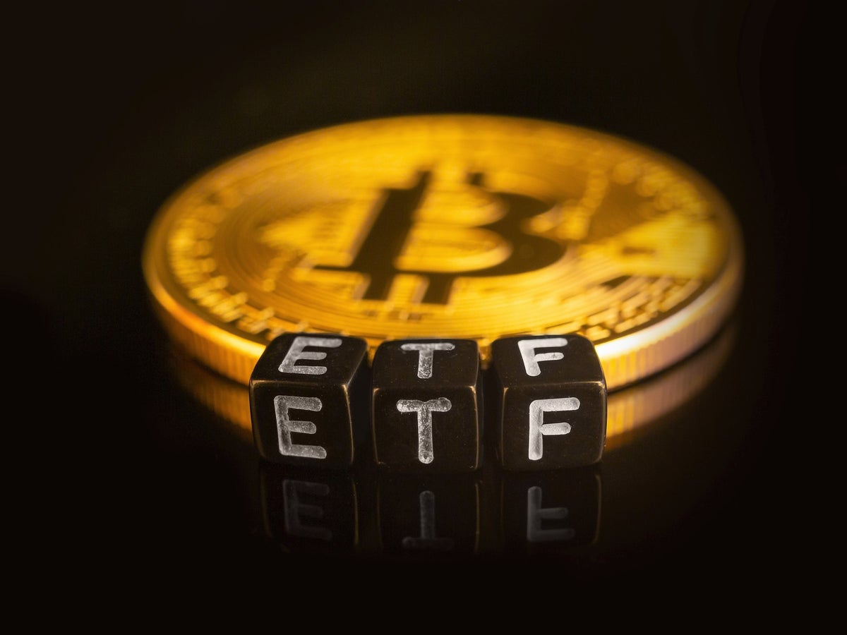 El fallo sobre el ETF de Bitcoin es un momento “seminal” para la  criptomoneda | Independent Español