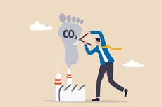 ¿Es la masculinidad tóxica la razón por la que tantos hombres se rehúsan a tomar acción por el clima?