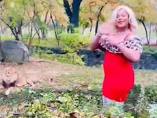 Mujer entra al recinto de los leones del zoológico del Bronx, agita ramos de rosas y lanza billetes al aire