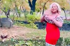 Mujer entra al recinto de los leones del zoológico del Bronx, agita ramos de rosas y lanza billetes al aire